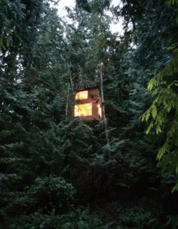 tiny-house treehouse 9